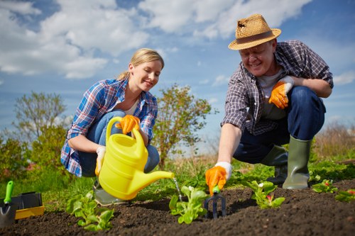 Community garden using donated compost and woodchips